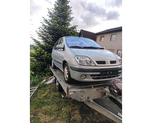 Renault Scenic Gebrauchtwagen
