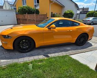 Ford Mustang Gebrauchtwagen