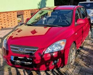 Kia ceed / Ceed Gebrauchtwagen