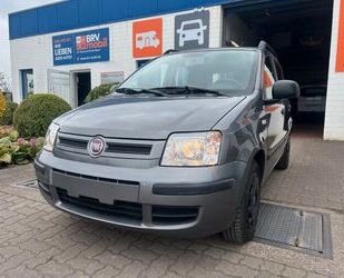 Fiat Panda Gebrauchtwagen