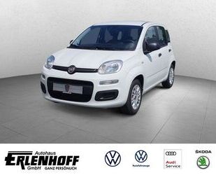 Fiat Panda Gebrauchtwagen