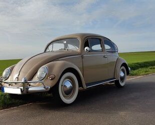 VW Käfer Gebrauchtwagen