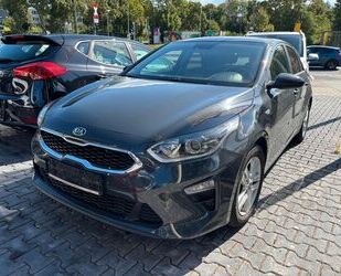 Kia ceed / Ceed Gebrauchtwagen