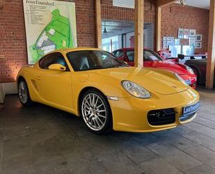 Porsche Cayman Gebrauchtwagen