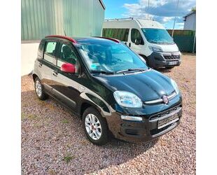 Fiat Panda Gebrauchtwagen