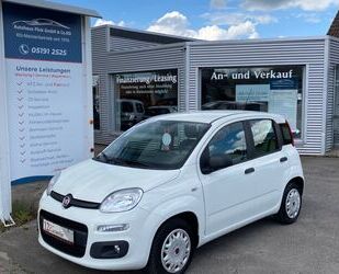 Fiat Panda Gebrauchtwagen