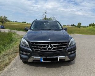 Mercedes-Benz ML 350 Gebrauchtwagen