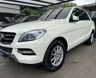Mercedes-Benz ML 350 Gebrauchtwagen
