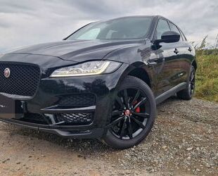Jaguar F-Pace Gebrauchtwagen