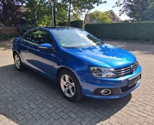 VW Eos Gebrauchtwagen