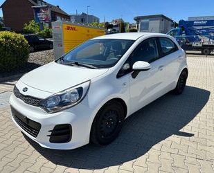 Kia Rio Gebrauchtwagen