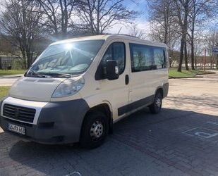 Fiat Ducato Gebrauchtwagen