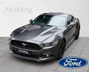 Ford Mustang Gebrauchtwagen
