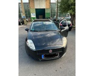 Fiat Punto Gebrauchtwagen
