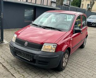 Fiat Panda Gebrauchtwagen