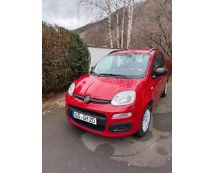 Fiat Panda Gebrauchtwagen