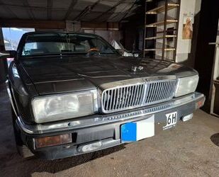 Jaguar XJ40 Gebrauchtwagen