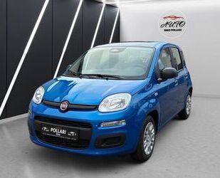 Fiat Panda Gebrauchtwagen