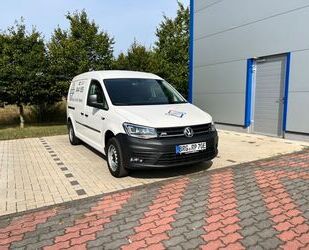 VW Caddy Maxi Gebrauchtwagen