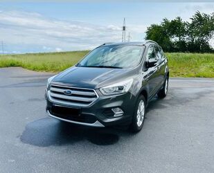 Ford Kuga Gebrauchtwagen