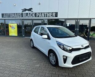 Kia Picanto Gebrauchtwagen