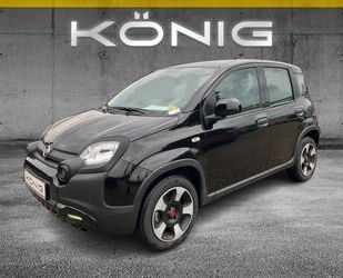 Fiat Panda Gebrauchtwagen