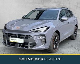 Cupra Terramar Gebrauchtwagen