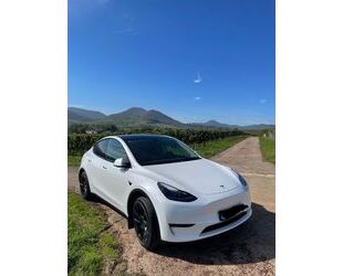 Tesla Model Y Gebrauchtwagen