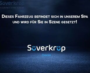 Dacia Spring Gebrauchtwagen