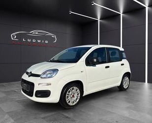 Fiat Panda Gebrauchtwagen