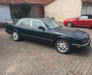 Jaguar XJ8 Gebrauchtwagen