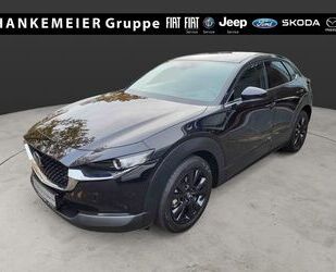 Mazda CX-30 Gebrauchtwagen