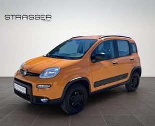 Fiat Panda Gebrauchtwagen