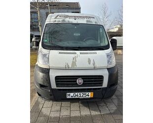 Fiat Ducato Gebrauchtwagen