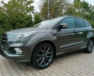 Ford Kuga Gebrauchtwagen