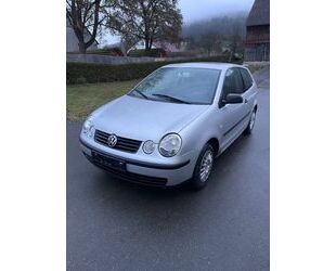 VW Polo Gebrauchtwagen