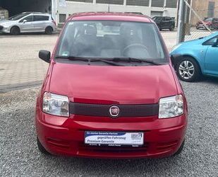 Fiat Panda Gebrauchtwagen