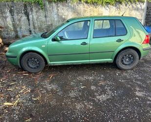VW Golf Gebrauchtwagen