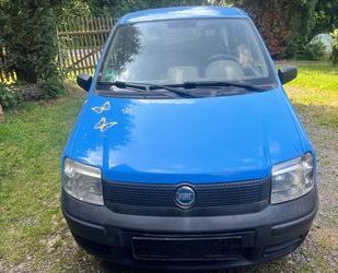 Fiat Panda Gebrauchtwagen