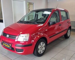 Fiat Panda Gebrauchtwagen