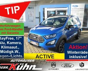 Ford EcoSport Gebrauchtwagen