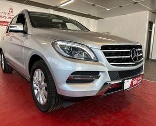 Mercedes-Benz ML 250 Gebrauchtwagen