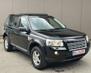 Land Rover Freelander Gebrauchtwagen