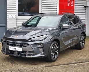 Cupra Terramar Gebrauchtwagen