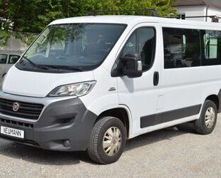 Fiat Ducato Gebrauchtwagen
