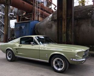 Ford Mustang Gebrauchtwagen