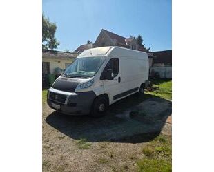 Fiat Ducato Gebrauchtwagen