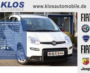 Fiat Panda Gebrauchtwagen