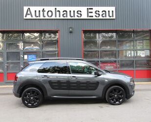 Citroen C4 Cactus Gebrauchtwagen