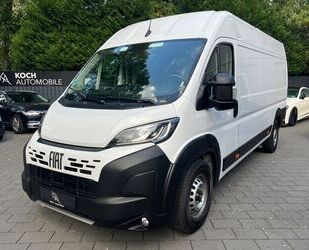 Fiat Ducato Gebrauchtwagen